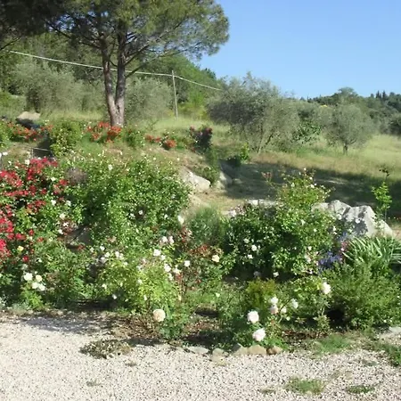 Apartment Dellago